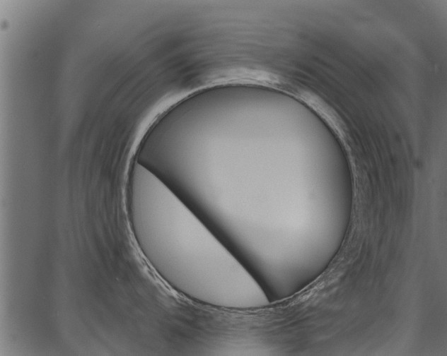 X0000086751104200704130752