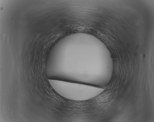 X0000086751105200704130751