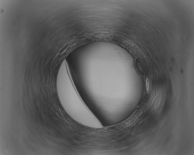 X0000086751107200704130751