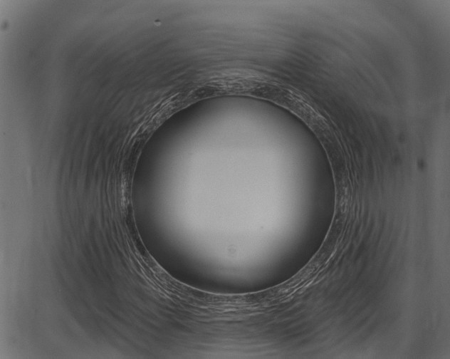 X0000086751108200704130751