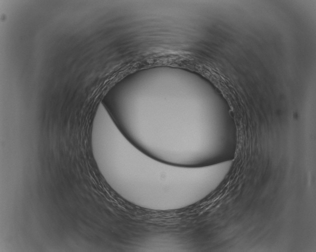 X0000086751109200704130751