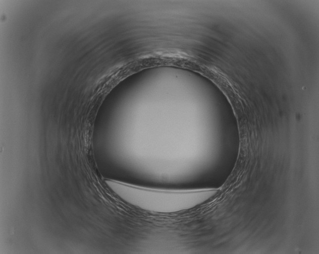 X0000086751110200704130751