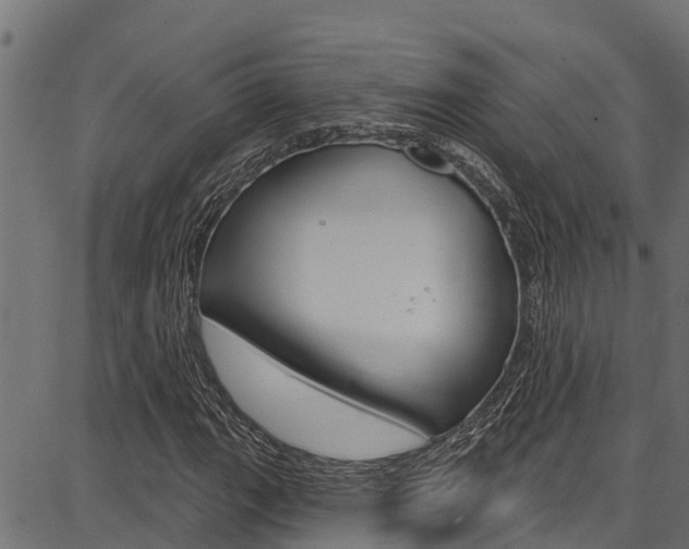 X0000086751111200704130751