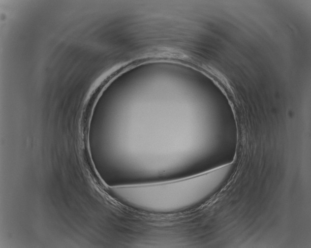 X0000086751120200704130751