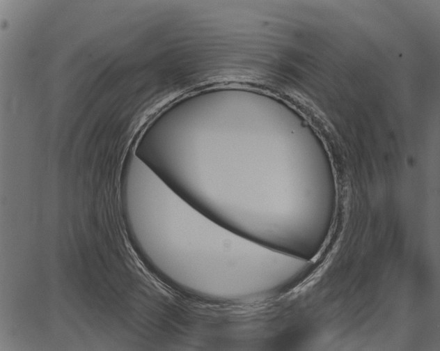X0000086751121200704130751
