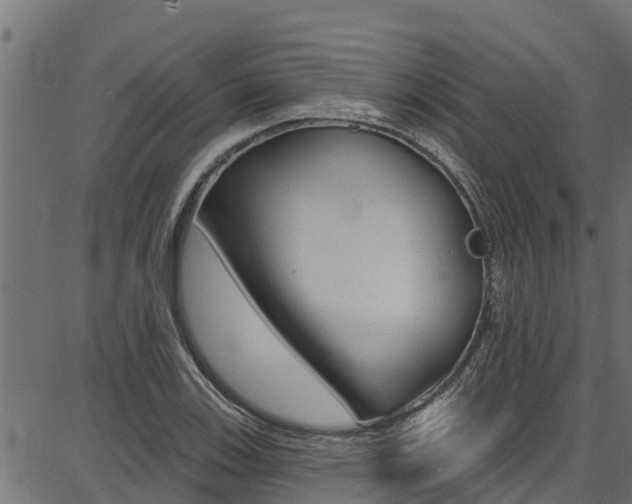 X0000086751123200704130751