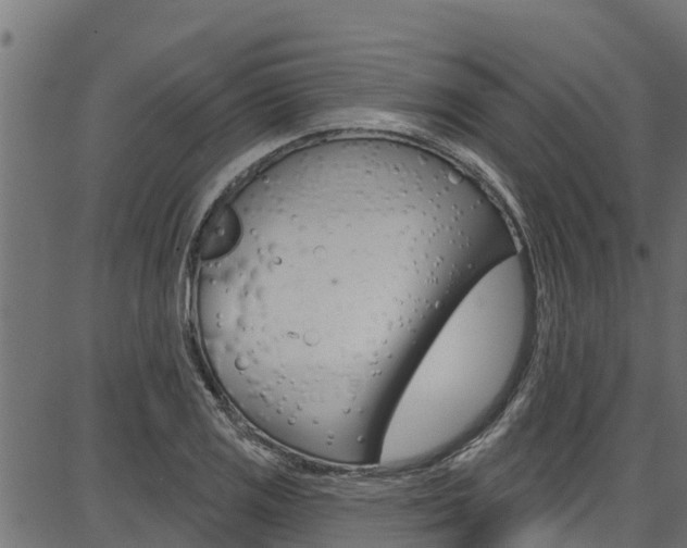X0000086751125200704130751