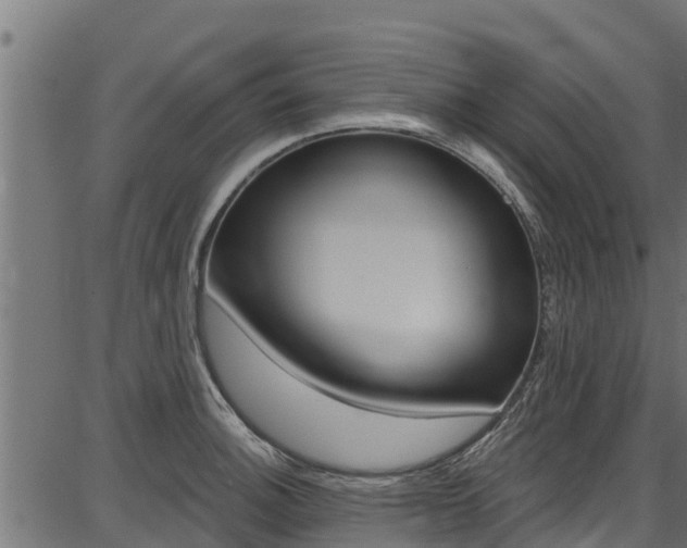 X0000086751140200704130751