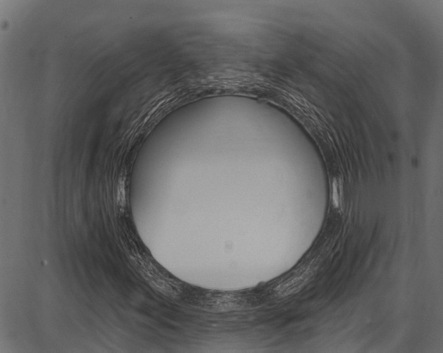 X0000086751155200704130751