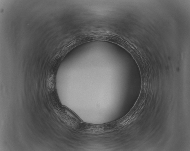X0000086751156200704130751