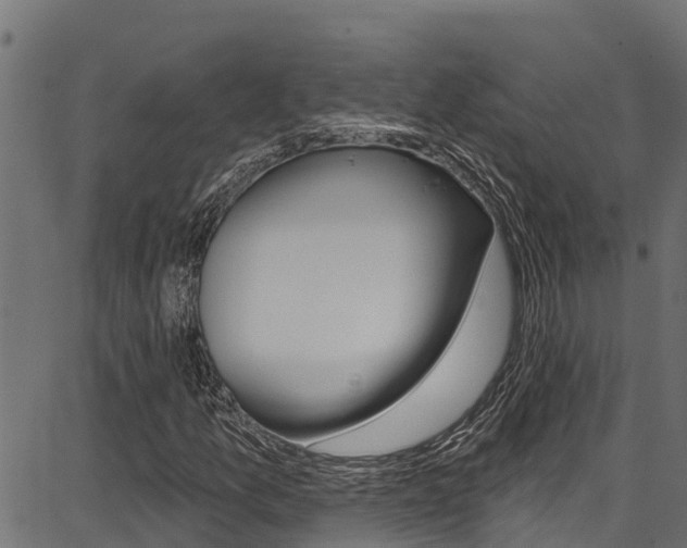 X0000086751157200704130751