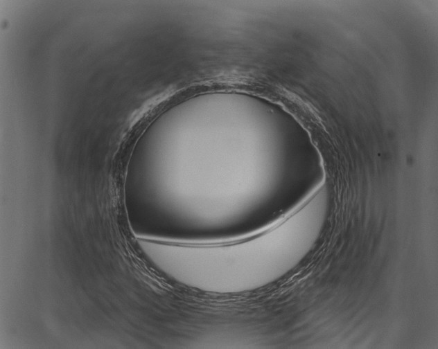 X0000086751160200704130751