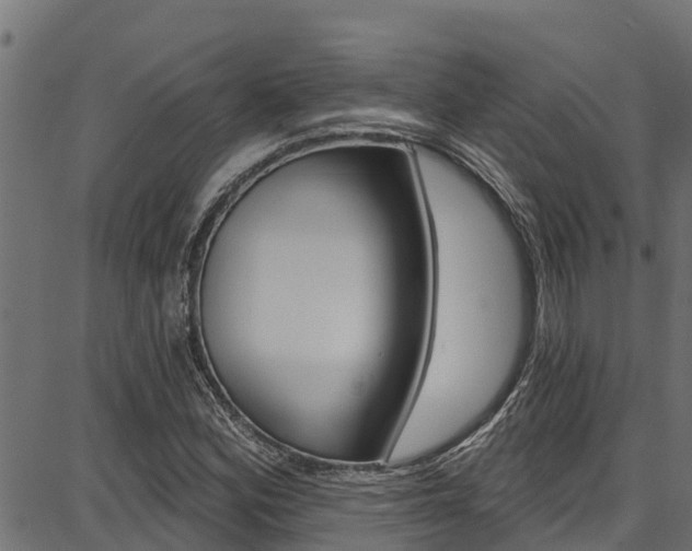 X0000086751164200704130751