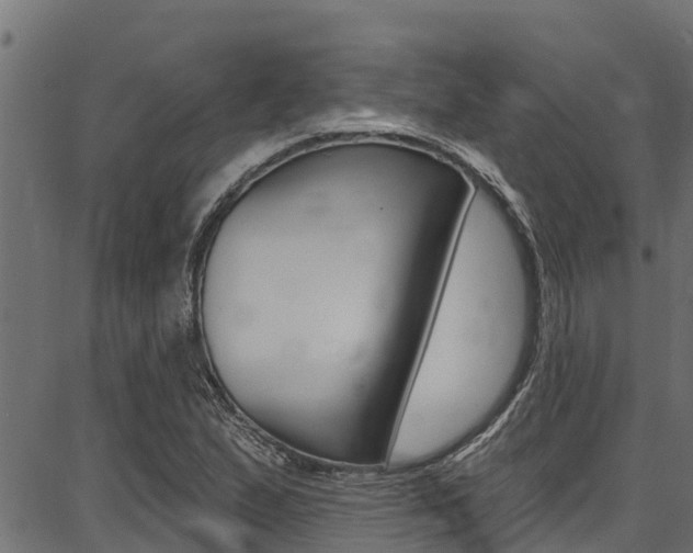X0000086751167200704130751