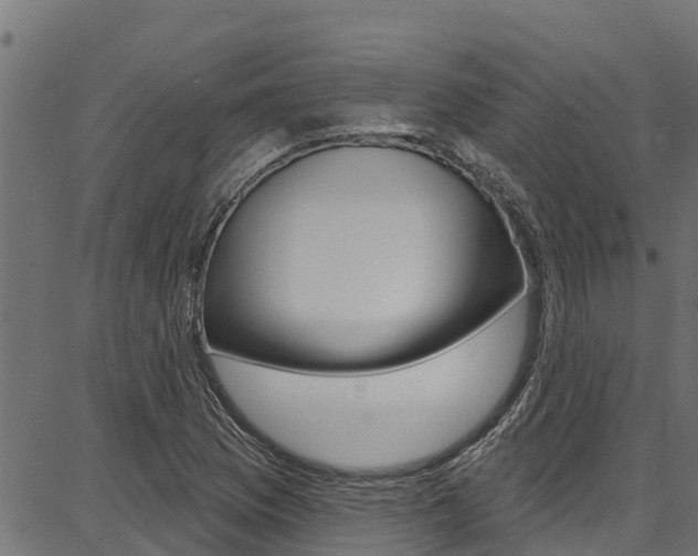 X0000086751169200704130751