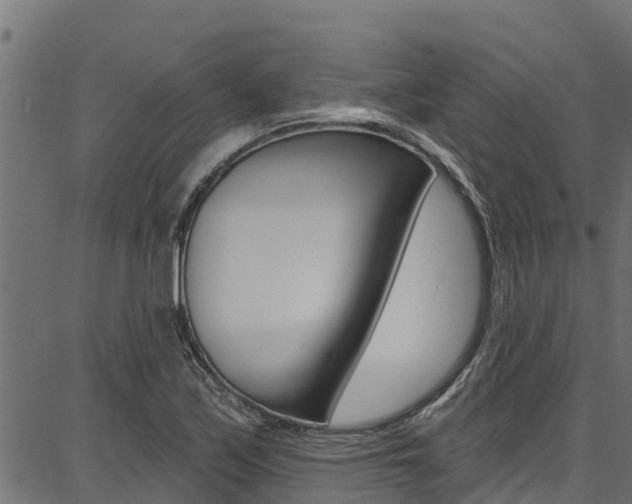 X0000086751171200704130751
