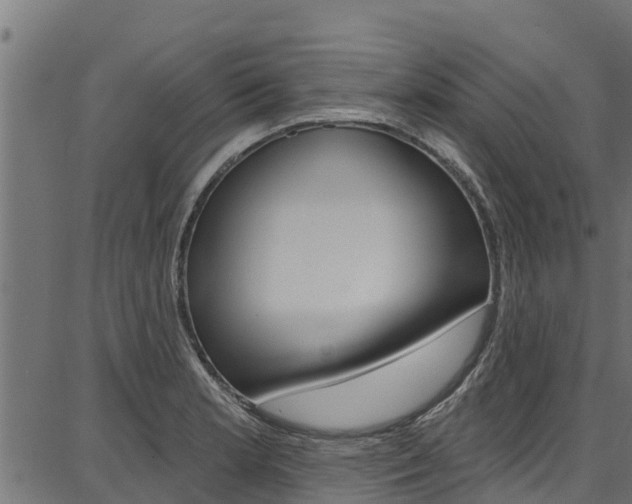 X0000086751181200704130750