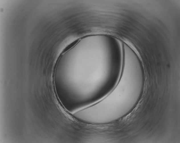 X0000086751197200704130750