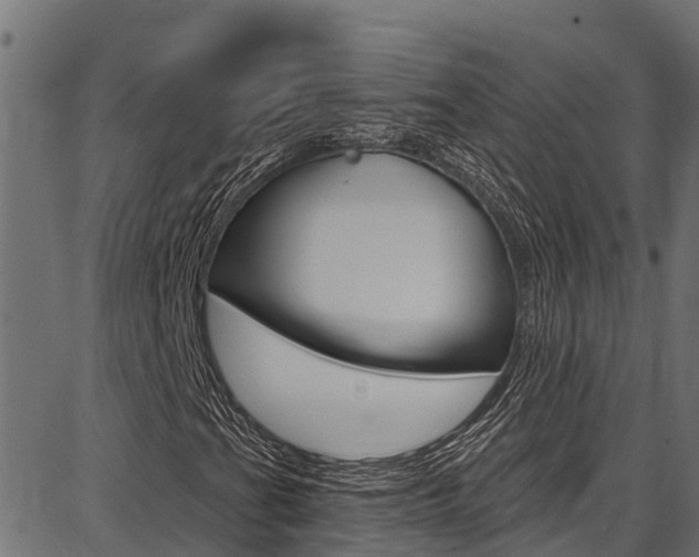 X0000086751201200704130749