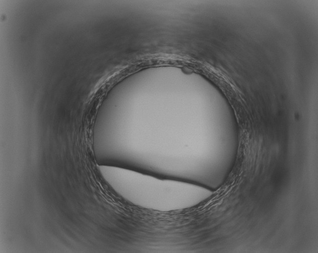 X0000086751207200704130749