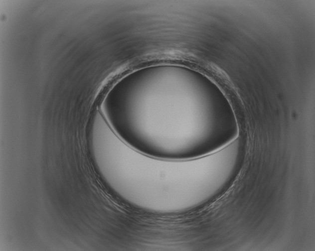 X0000086751218200704130749