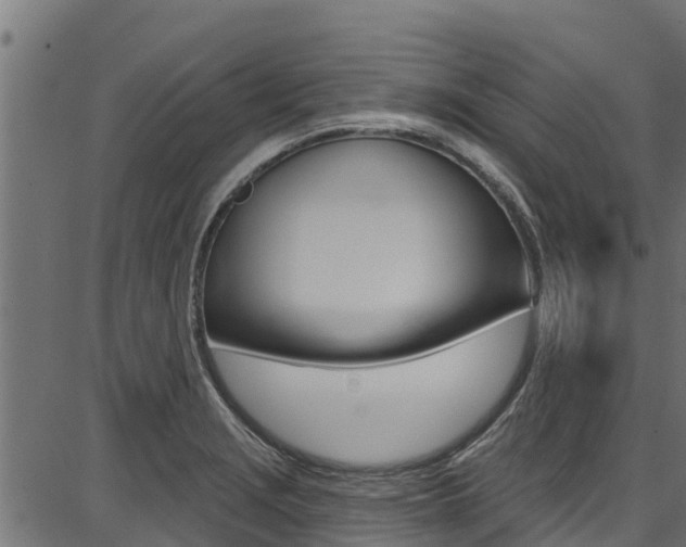 X0000086751229200704130750