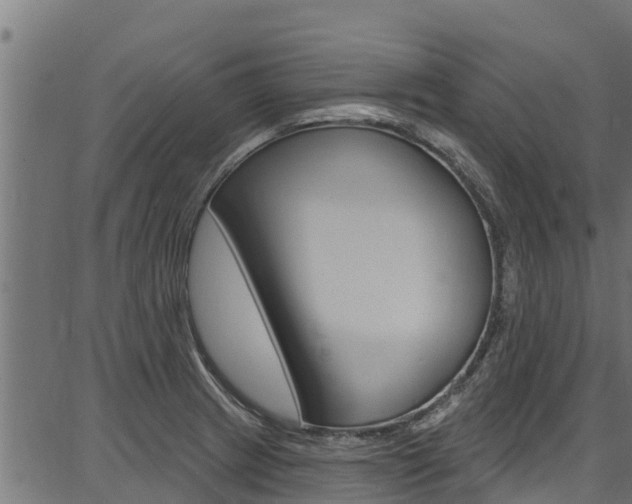 X0000086751233200704130750