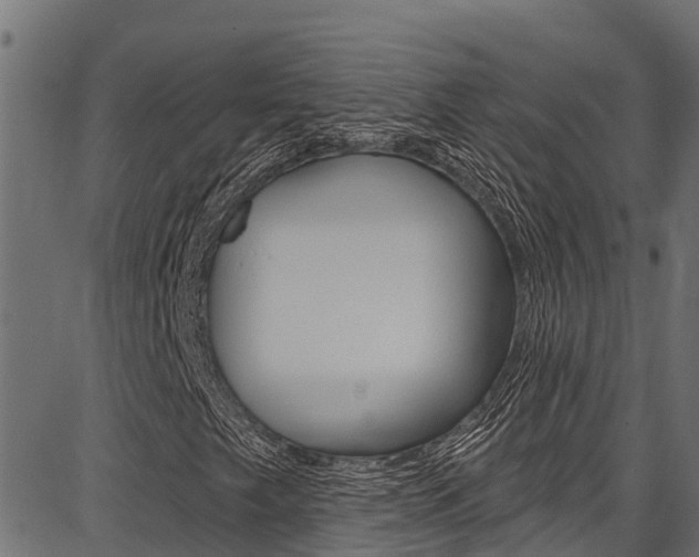 X0000086751249200704130749