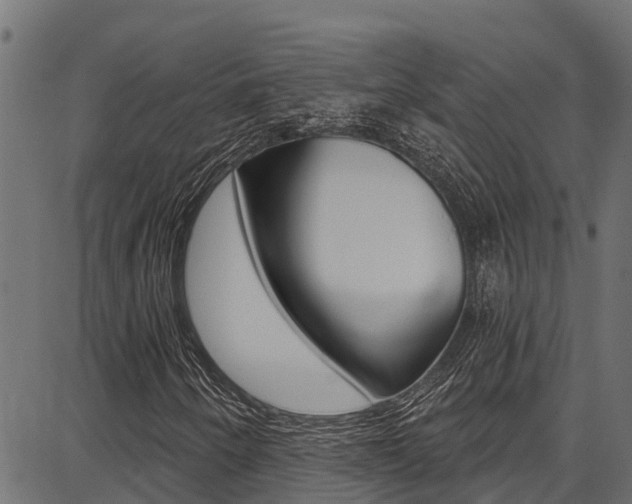 X0000086751250200704130749