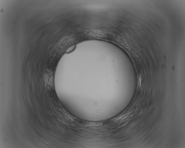 X0000086751251200704130749
