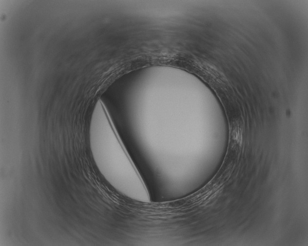 X0000086751252200704130749