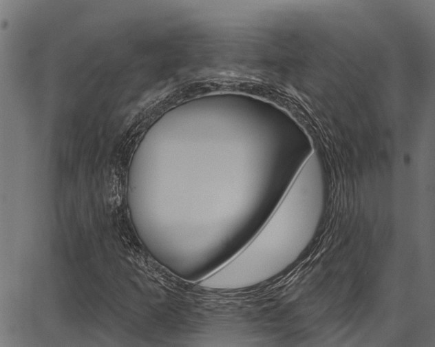 X0000086751253200704130749