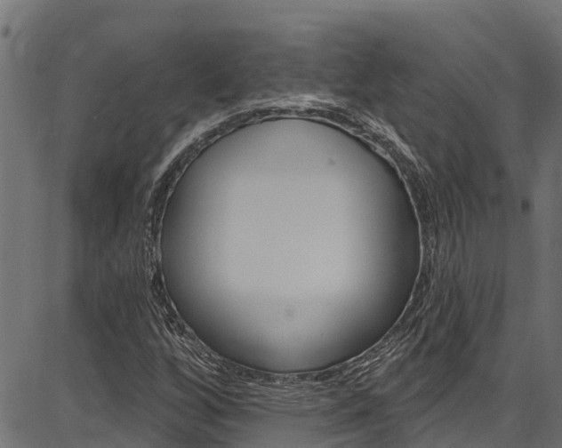 X0000086751256200704130749