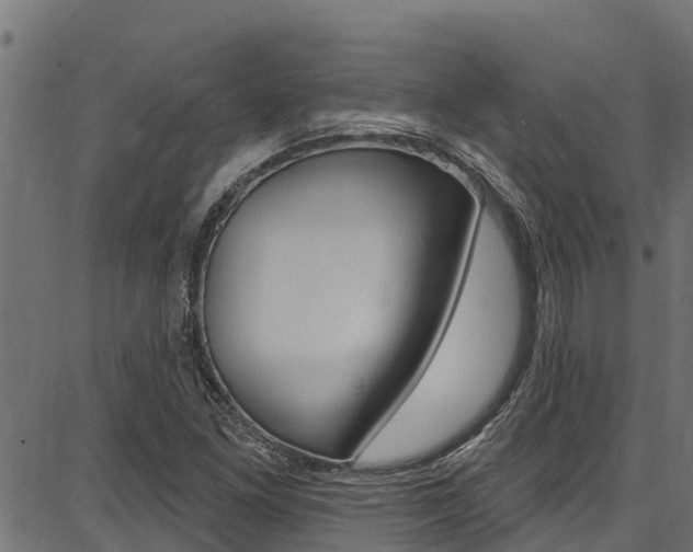 X0000086751261200704130749