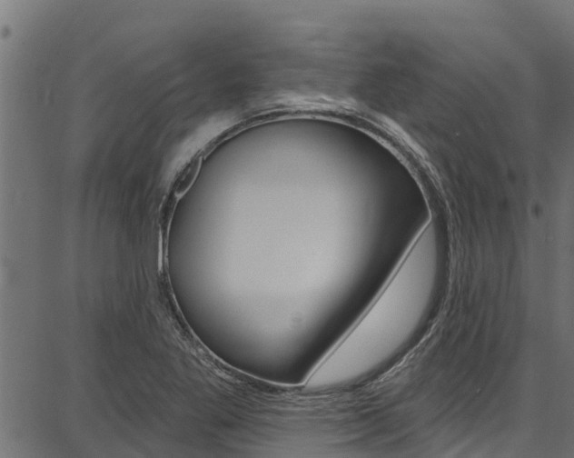 X0000086751269200704130749
