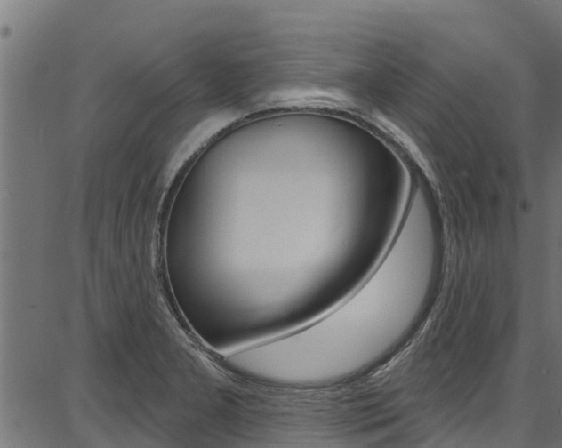 X0000086751277200704130749