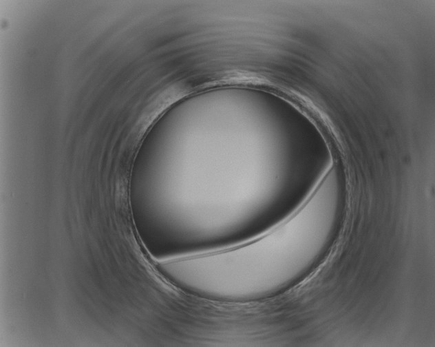 X0000086751281200704130749