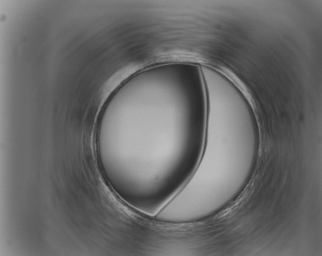 X0000086751293200704130748