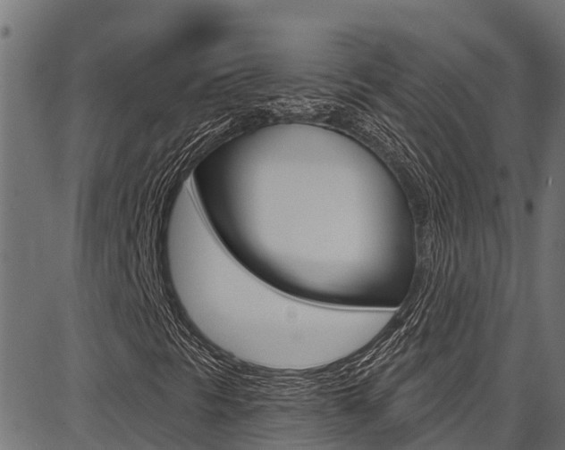 X0000086751297200704130748