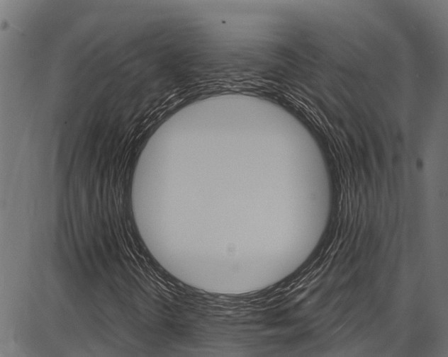 X0000086751298200704130748