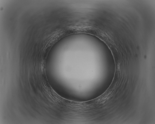 X0000086751300200704130748