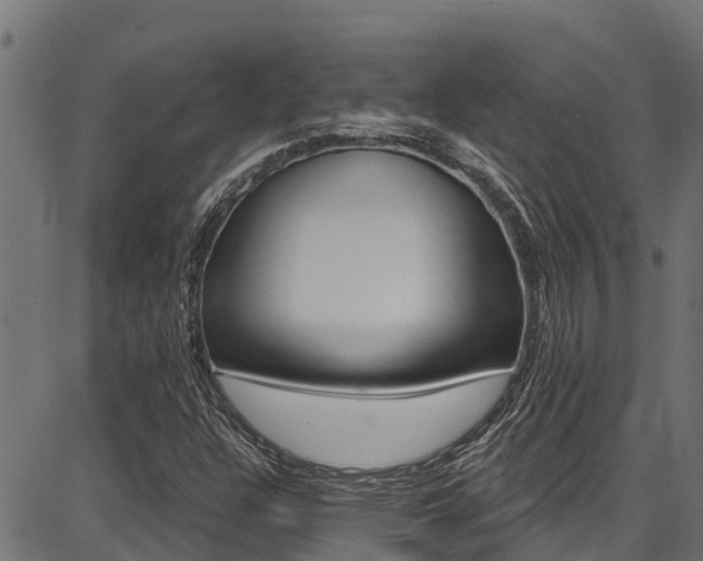X0000086751304200704130748