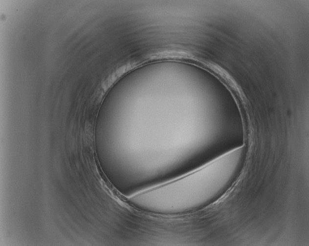 X0000086751337200704130748