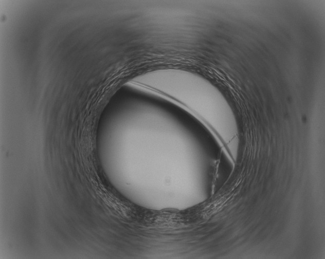 X0000086751345200704130748