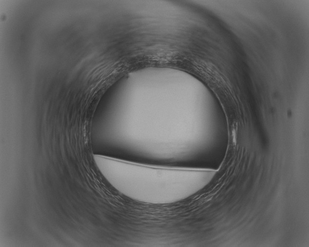 X0000086751347200704130748