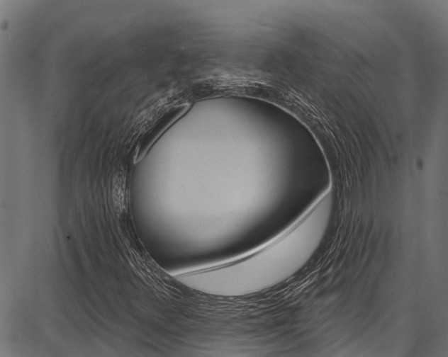 X0000086751348200704130748