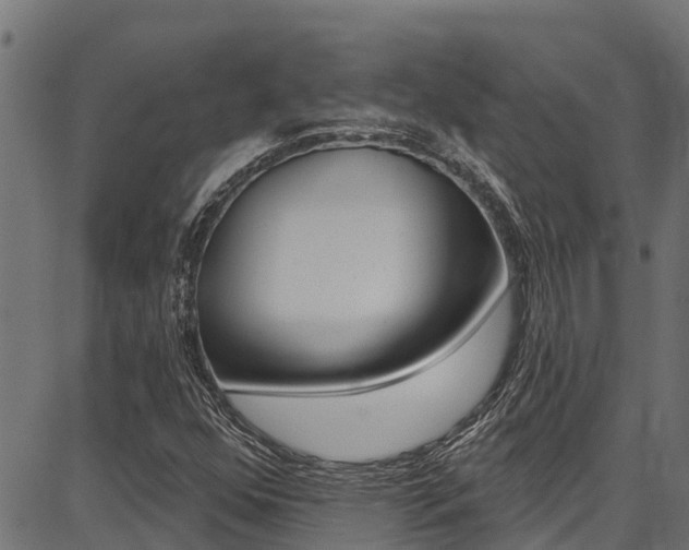 X0000086751352200704130747