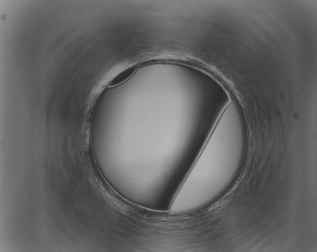 X0000086751367200704130747