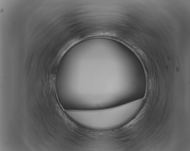 X0000086751369200704130747
