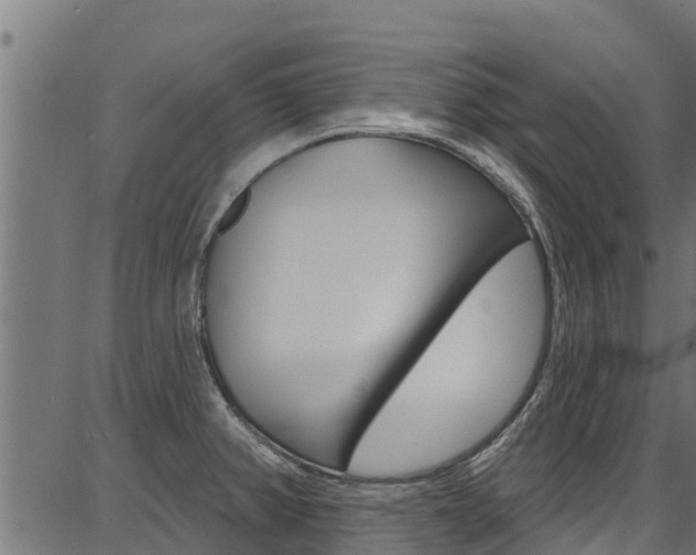 X0000086751382200704130747